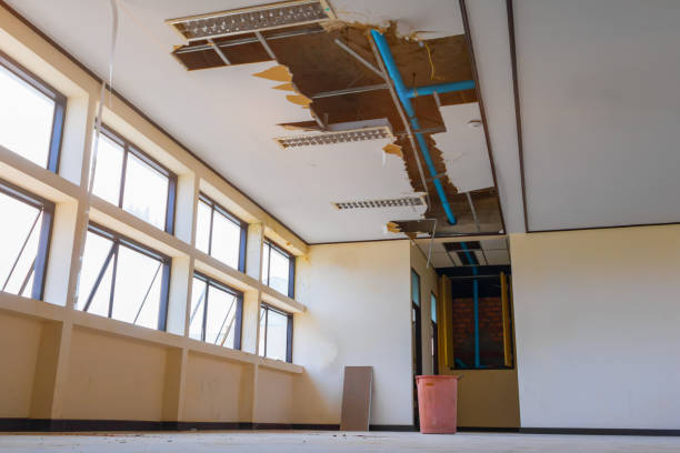 Best Local water damage restoration  in Waterford, WI