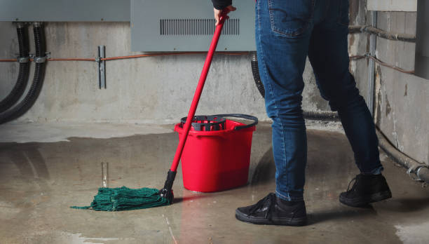 Best Basement water damage restoration  in Waterford, WI