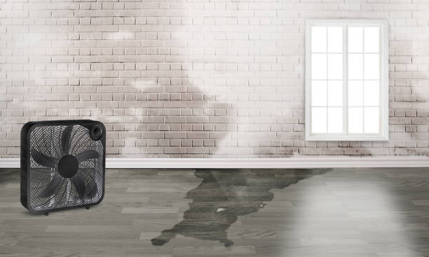 Best Water damage restoration near me  in Waterford, WI