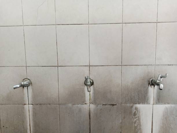 Best Water damage restoration cost  in Waterford, WI